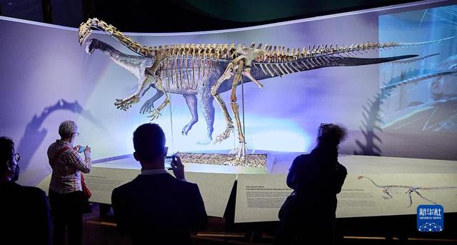 奥地利维也纳展出了2.1亿年前的恐龙骨骼