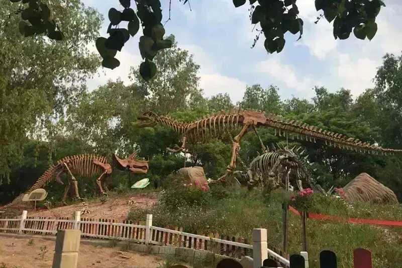 当仿真恐龙遇上仿真动物：构建沉浸式远古世界