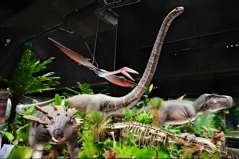 成都自然科技馆：沉浸式 “白垩纪秘境” 室内仿真